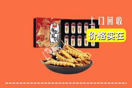 齐河县回收冬虫夏草